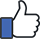Facebook like icon 40x40