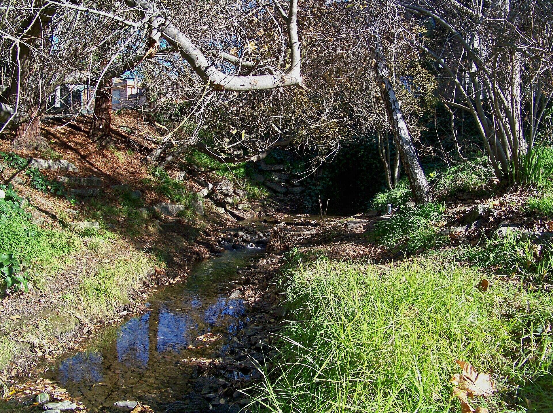 Strawberry Creek runs through UC Berkeley campus