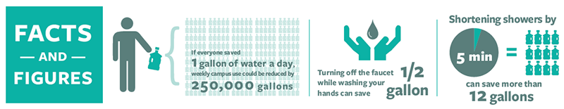 Water Infographic