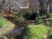 Strawberry Creek