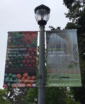 campus banners about sustainability