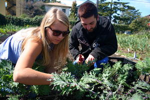 Students gardening