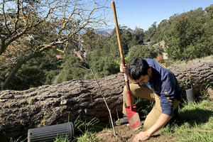 Berkeley hookup - Warsaw Local