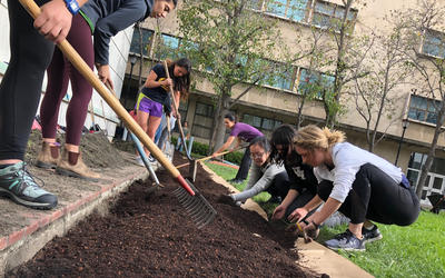 PRODUCE GROWN FOR UC BERKELEY'S BROWNS HERBAL GARDEN PROJECT WILL BE USED IN A CAMPUS CAFE PRODUCE GROWN FOR UC BERKELEY'S BROWNS HERBAL GARDEN PROJECT WILL BE USED IN A CAMPUS CAFE
