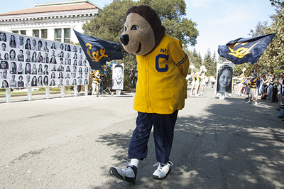 Oski bear walking on campus